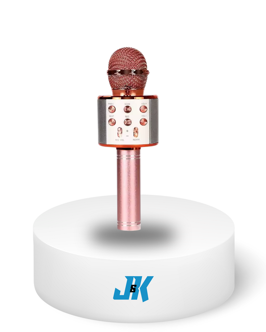 Wster Wireless Microphone HiFi Speaker - JK Electronics